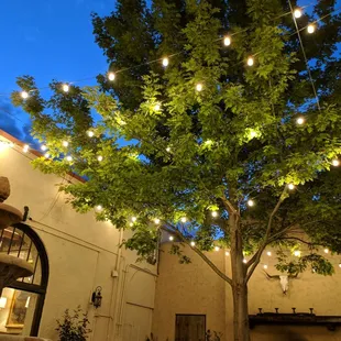 Courtyard is quiet and fantastic on a clear evening in April.