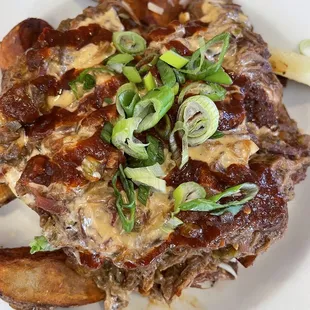 Brisket Fries