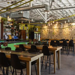 Cerebral Brewing's Congress Park taproom offers a vibrant, cozy space perfect for enjoying craft beer and great company!