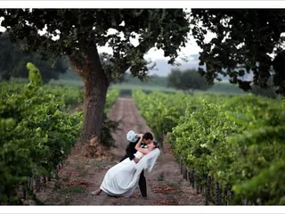 Sierra Wine Country Weddings