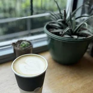 Latte