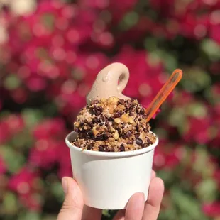 Chocolate hazelnut gelato with all the toppings