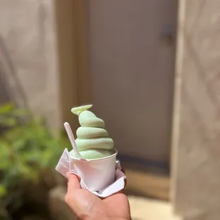 Mint gelato was good!