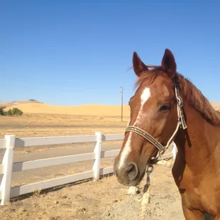 Copper :)