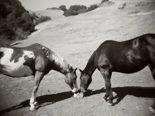 Canyon Creek Ranch