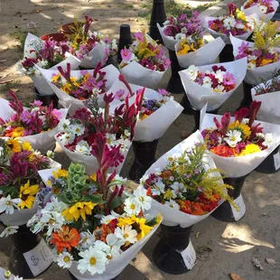a variety of flowers