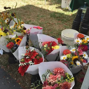 Lovely flowers from Ge P Lao flower farm. $5 a bunch. Sweet folks.