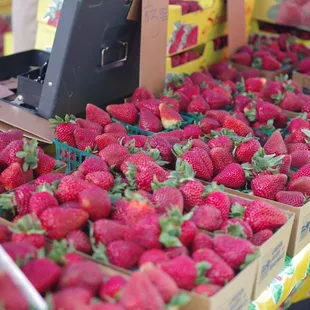 Strawberries