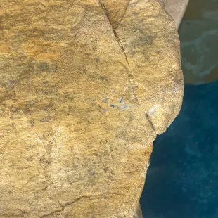 Paint on my Rico rock