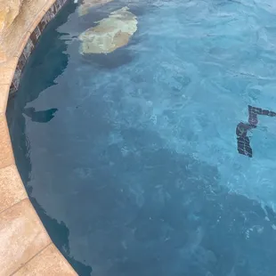 The pool paint is two colors? What is that?