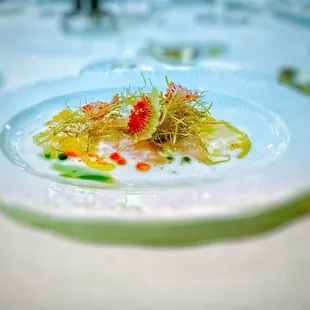 Golden Eye Snapper with Kombu, Citrus Dressing