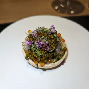 Live Norwegian Langoustine Monaka