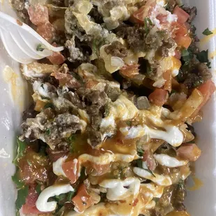 Carne asada fries