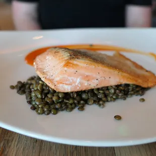 Salmon