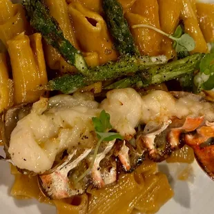 Lobster Campanelle whole lobster tail · lightly battered asparagus · lobster and mussel velouté