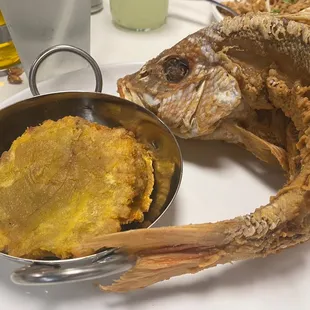 seafood, grilled fish, fish, food, grilled seafood