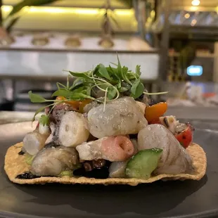 Octopus and shrimp tostada