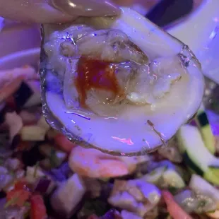 Oyster