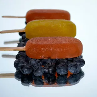 &quot;Hopsicles&quot; made with craft beers