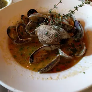 Manilla Clams