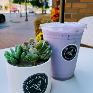 Purple Taro