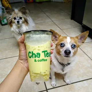 Pistachio Milk Tea