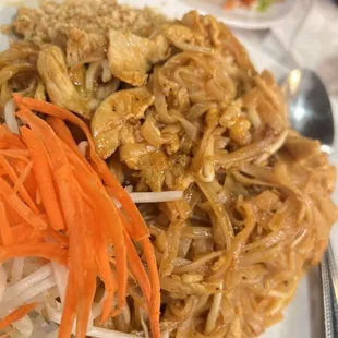 a plate of noodles, carrots, and meat