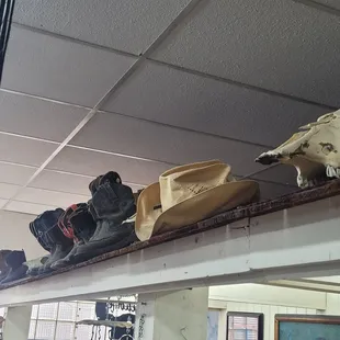 Old boots, hat, and skulls