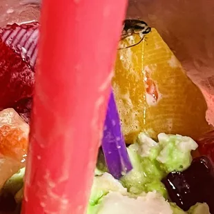 #Falooda #Roach #RoachinDessert #DessertDrink