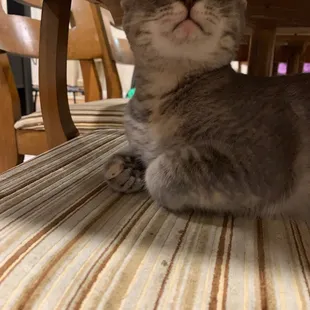 This is when your the boss!