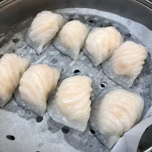 Apr 2024 - Shrimp Har Gow