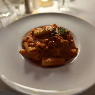 Rigatoni with sausage