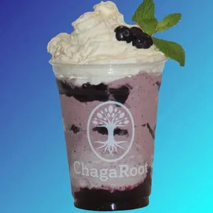 Blueberry Bloomer Mushy