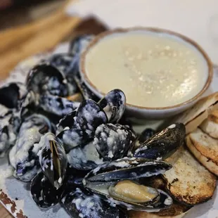 oysters and mussels, shellfish, oysters, food, mussels