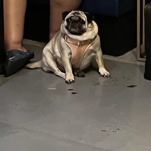 I think this is chi