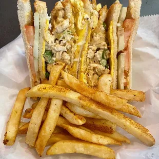 a sandwich and french fries