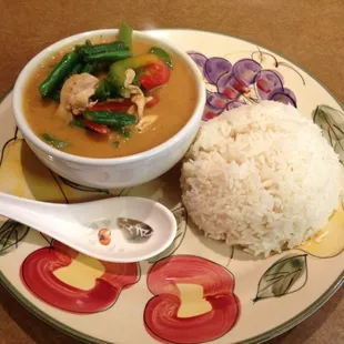Panang curry