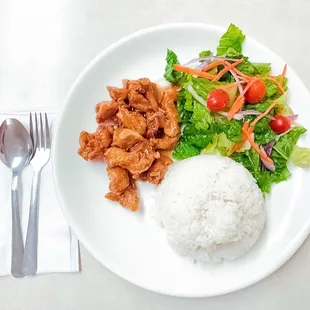 Orange Chicken served with steamed Rice and house salad