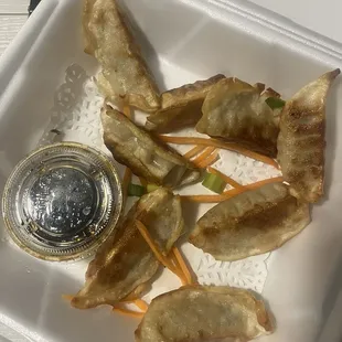 Pan fried dumplings