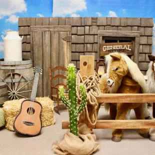 Western party prop rentals