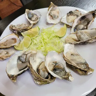 Oysters