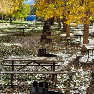 Tent camping area at the lower sites.