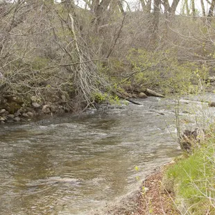 Creek from our spot #26