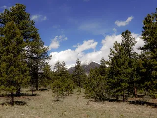 Brown's Creek