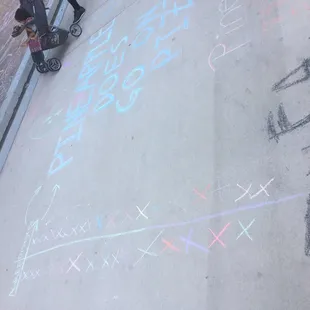 Pineapple pizza poll