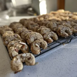 a tray of cookies on a counter