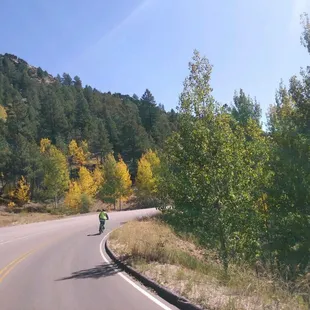 Leaves are beginning to turn in the Aspens.