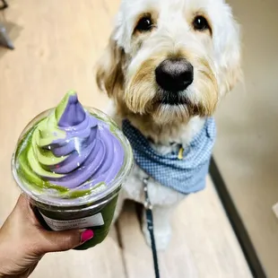 Matcha Ube float with my little dude!