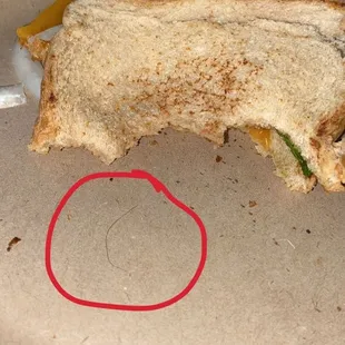 hair in my food