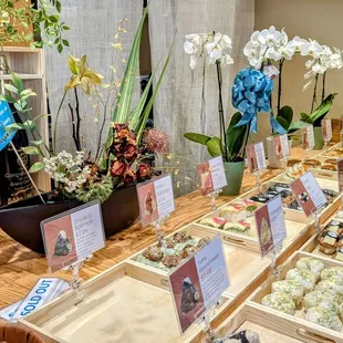 interior, sushi and sashimi